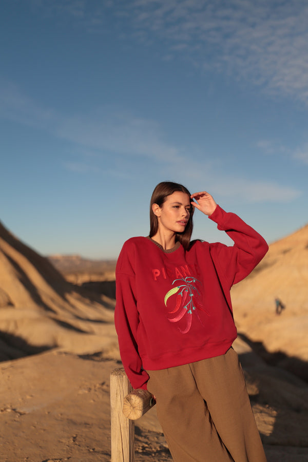 Sudadera PI68